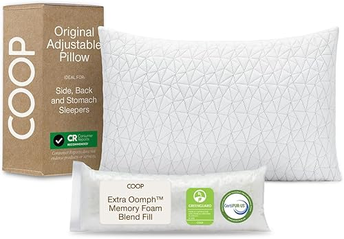 Coop Home Goods Eden pillow with gusseted sides