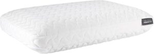Tempur-Pedic Cloud vs Casper Pillow: Premium Pillow Head-to-Head