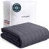 LEVOIT Core 300 Air Purifier Review: Bedroom-Sized Clean Air Without the Drone