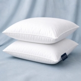 Why 260K People Bought These Budget Bed Pillows (Beckham Set of 2 Review)