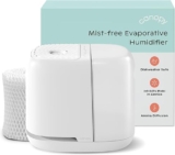 Canopy Bedside Humidifier 2.0 Review: White Noise, Reading Light, and Clean Moisture in One