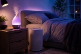 Humidifier vs Air Purifier for Sleep: Which Your Bedroom Needs