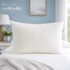 Best Sleep Products for Snoring Partners in 2026