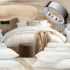 Building the Perfect Sleep Environment: A Room-by-Room Buyer’s Guide